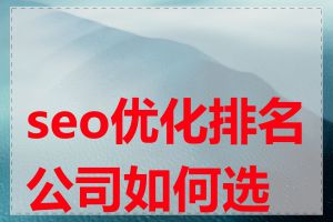seo优化排名公司如何选择