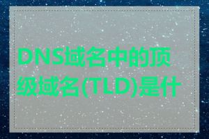 DNS域名中的顶级域名(TLD)是什么