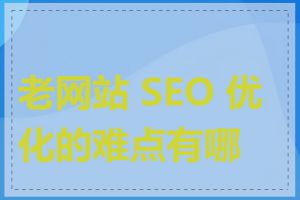 老网站 SEO 优化的难点有哪些