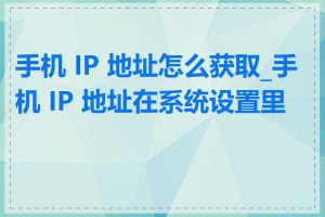 手机 IP 地址怎么获取_手机 IP 地址在系统设置里吗