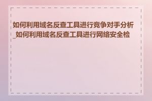 如何利用域名反查工具进行竞争对手分析_如何利用域名反查工具进行网络安全检查
