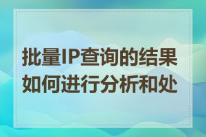 批量IP查询的结果如何进行分析和处理