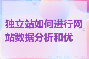 独立站如何进行网站数据分析和优化