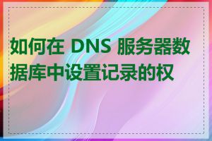 如何在 DNS 服务器数据库中设置记录的权限