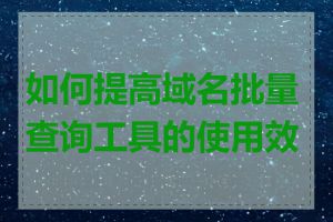 如何提高域名批量查询工具的使用效率