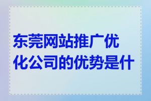 东莞网站推广优化公司的优势是什么