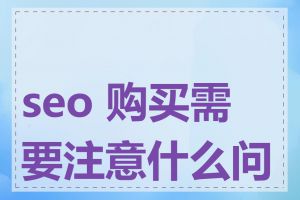seo 购买需要注意什么问题