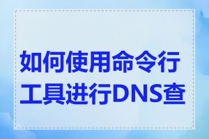 如何使用命令行工具进行DNS查询