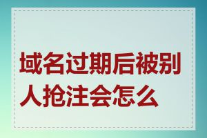 域名过期后被别人抢注会怎么样