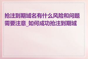 抢注到期域名有什么风险和问题需要注意_如何成功抢注到期域名