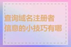查询域名注册者信息的小技巧有哪些