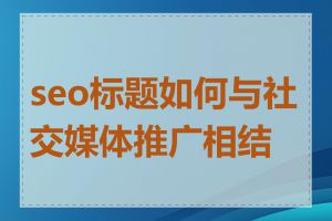 seo标题如何与社交媒体推广相结合