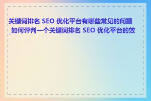 关键词排名 SEO 优化平台有哪些常见的问题_如何评判一个关键词排名 SEO 优化平台的效果