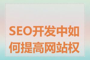 SEO开发中如何提高网站权重