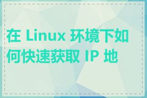 在 Linux 环境下如何快速获取 IP 地址
