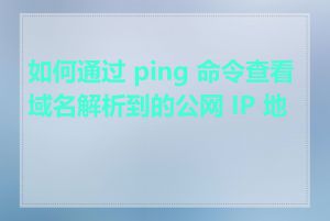 如何通过 ping 命令查看域名解析到的公网 IP 地址