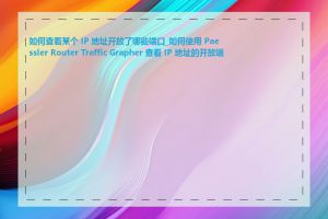 如何查看某个 IP 地址开放了哪些端口_如何使用 Paessler Router Traffic Grapher 查看 IP 地址的开放端口