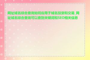 网址域名综合查询如何应用于域名投资和交易_网址域名综合查询可以查到关键词和SEO相关信息吗