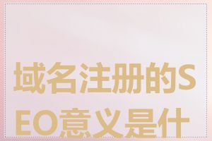 域名注册的SEO意义是什么