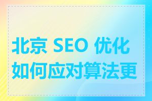 北京 SEO 优化如何应对算法更新