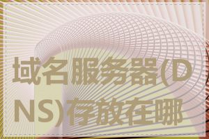 域名服务器(DNS)存放在哪里