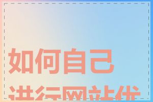 如何自己进行网站优化