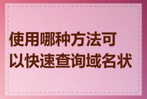 使用哪种方法可以快速查询域名状态