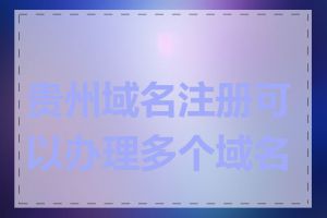 贵州域名注册可以办理多个域名吗