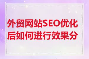 外贸网站SEO优化后如何进行效果分析