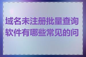 域名未注册批量查询软件有哪些常见的问题