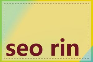 seo rina擅长什么