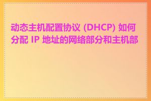 动态主机配置协议 (DHCP) 如何分配 IP 地址的网络部分和主机部分