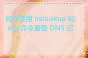 如何使用 nslookup 和 dig 命令查看 DNS 记录