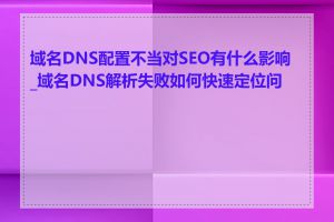 域名DNS配置不当对SEO有什么影响_域名DNS解析失败如何快速定位问题