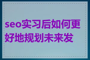 seo实习后如何更好地规划未来发展