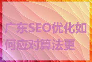 广东SEO优化如何应对算法更新