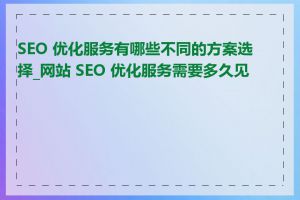 SEO 优化服务有哪些不同的方案选择_网站 SEO 优化服务需要多久见效