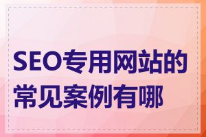 SEO专用网站的常见案例有哪些