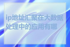 ip地址汇聚在大数据处理中的应用有哪些