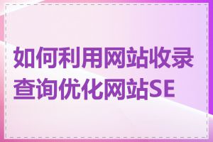 如何利用网站收录查询优化网站SEO