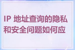 IP 地址查询的隐私和安全问题如何应对
