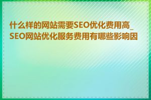 什么样的网站需要SEO优化费用高_SEO网站优化服务费用有哪些影响因素