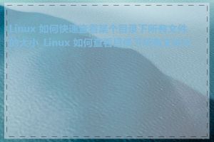 Linux 如何快速查看某个目录下所有文件的大小_Linux 如何查看目录下所有文件大小