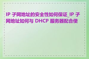IP 子网地址的安全性如何保证_IP 子网地址如何与 DHCP 服务器配合使用