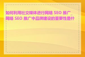 如何利用社交媒体进行网络 SEO 推广_网络 SEO 推广中品牌建设的重要性是什么