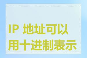 IP 地址可以用十进制表示吗