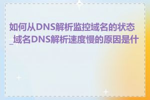 如何从DNS解析监控域名的状态_域名DNS解析速度慢的原因是什么