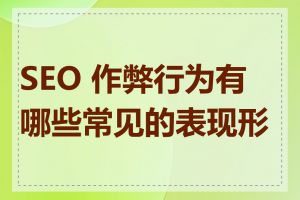 SEO 作弊行为有哪些常见的表现形式