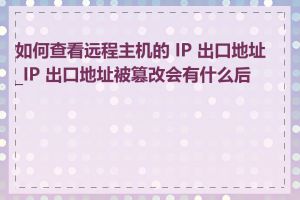 如何查看远程主机的 IP 出口地址_IP 出口地址被篡改会有什么后果