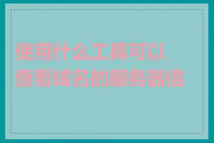 使用什么工具可以查看域名的服务器信息
